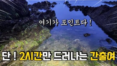 안면도 해루질 가볼만한곳, 갯바위 해삼해루질 낙지해루질 충남 서해안 해루질 포인트 추천