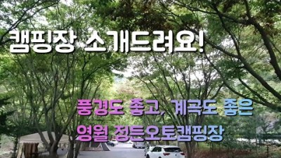 강원도 영월 법흥계곡 정든오토캠핑장 계곡물놀이 피라미낚시 풍경 좋은 영월 캠핑장 가볼만한곳 추천