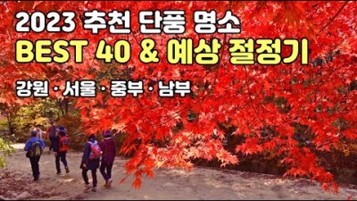 대한민국 단풍명소 여행지 절정기 정보 단풍여행 가볼만한곳 추천