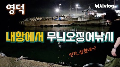 경북 영덕 도보권 무늬오징어낚시 포인트 채비정보 조황정보