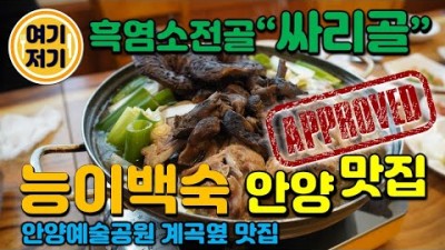 안양 맛집 싸리골 흑염소전골 능이백숙 안양에술공원 맛집 가볼만한곳 추천