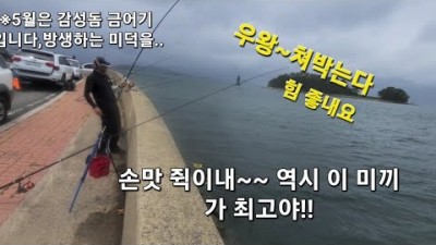 거제도 성포항 놀래미 도다리 감성돔 원투낚시 포인트 대물급 감성돔낚시 바다낚시 미끼, 낚시채비, 조황정보