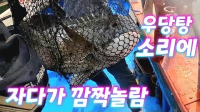 통영 북신만 감성돔 선상 흘림찌낚시, 대물 감성돔낚시, 통영 선상낚시, 통영 배낚시 감성돔낚시 바다낚시포인트 조황정보