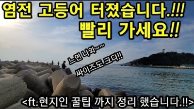 강릉항 염전해변 고등어낚시 포인트 고등어낚시 채비 조황