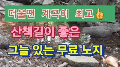 충북 영동 휴양림 분위기 무료노지 계곡캠핑 노지차박캠핑 가볼만한곳 추천