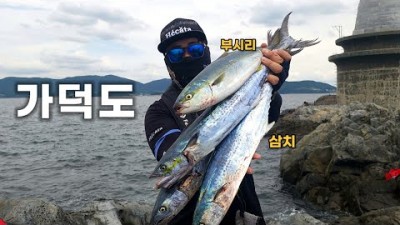 부산 가덕도 갯바위 삼치 방어 루어낚시 포인트 태클정보 조황정보