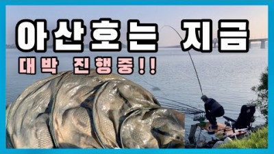서울근교 평택호 아산호 붕어낚시 민물낚시 포인트 조황 채비정보