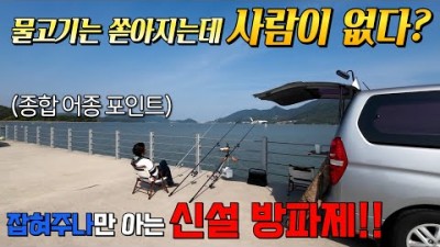 경남 고성 당항포포구 원투낚시 출조, 발판 편한 캠낚이 가능한 바다낚시포인트, 다양한 어종이 잡히는 경남 고성 바다낚시 조황정보
