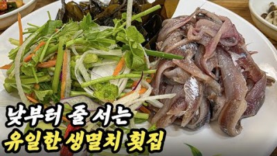경주 감포항 맛집 가볼만한곳, 이천식당 생멸치회 맛집, 백반기행 바닷가 멸치회 백반맛집, 경주맛집 추천