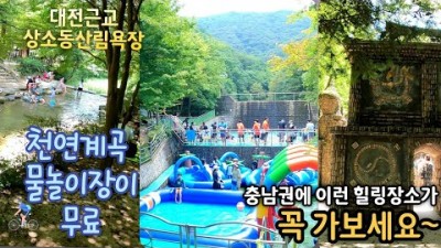 대전 상소동산림욕장 오토캠핑장 충남 무료 계곡 물놀이장 가볼만한곳 추천