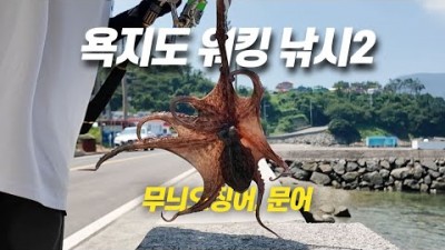 거제 욕지도 워킹 문어, 무늬오징어 루어낚시 조황 및 채비정보