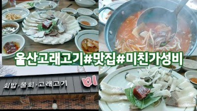 울산 고래고기 맛집 '미미정' 장생포 가성비 고래고기 회밥 물회 맛집 가볼만한곳 추천