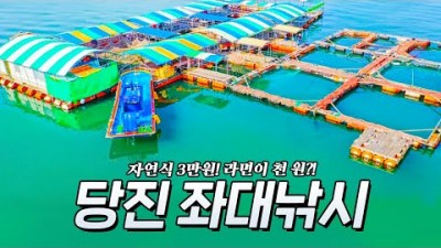 당진 도비도항 자연식 좌대낚시, 입어료 3만원에 편하게 손맛을 볼수있는 서울근교 바다좌대낚시 가볼만한곳 추천