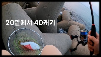 강릉 강문해변 광어 서프루어낚시 포인트 출조