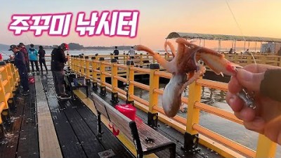 안면도 원산도 해상낚시공원 쭈꾸미낚시 좌대낚시 포인트 조왕 및 채비 정보