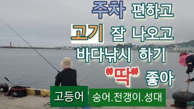 포항 구룡포 전갱이, 고등어, 숭어, 성대, 낚시 바다낚시포인트 조황정보
