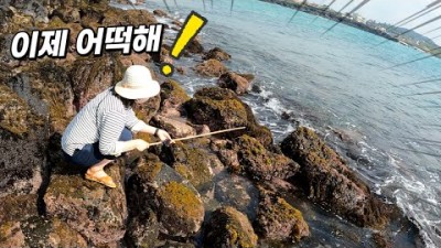 제주도 구멍치기 낚시 제주바다낚시포인트