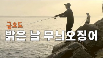 여수 금오도 무늬오징어 낚시포인트 갯바위 포인트 채비법 및  조황정보