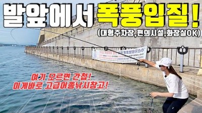 강원도 속초 대포항 벵에돔 바다낚시 출조, 원투낚시, 찌낚시, 루어낚시, 국민포인트, 속초 바다낚시포인트 조과조황 채비정보