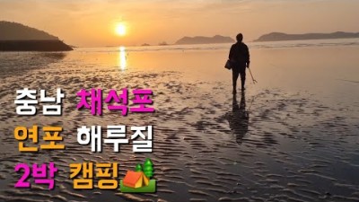 충남 태안 채석포 연포 신진도 해루질 포인트 가볼만한곳, 무료 바닷가 캠핑 해루질 갈만한곳 추천
