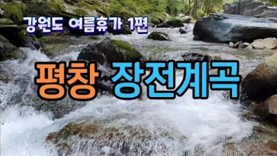평창 장전계곡 차박지 물놀이 자작캠핑카 강원도 노지차박 계곡캠핑 가볼만한곳 추천