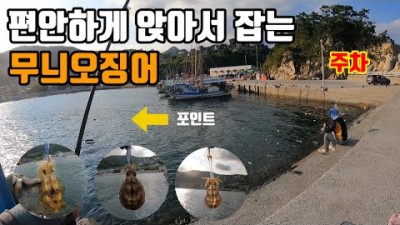 거제도 무늬오징어낚시 도보권 방파제 무늬오징어 루어낚시 포인트 및 조황정보