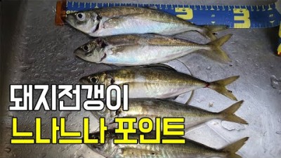 부산 도보권 돼지전갱이 낚시 갯바위 이기대공원 느나느나 바다낚시포인트