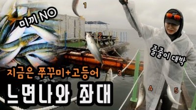 안면도 구매항 달빛좌대 쭈꾸미 고등어 좌대낚시 채비 조황정보