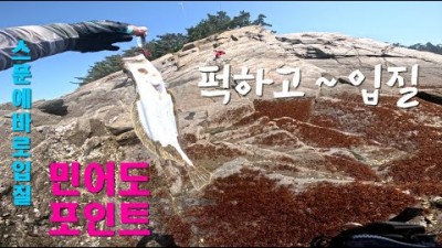 충남 태안 학암포 민어도 광어 워킹루어낚시 바다낚시포인트 추천