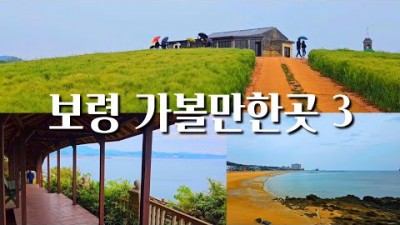 충남 보령여행 가볼만한곳, 죽도 상화원 한국식 전통정원, 천북 청보리밭 인생샷 명소, 바닷길이 열리는 무창포해수욕장, 보령여행지 추천