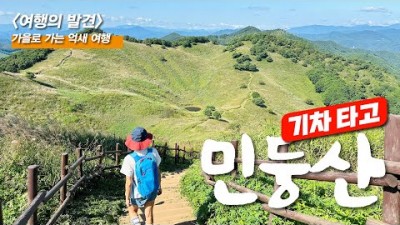 강원도 정선 민둥산 돌리네 최고의 가을 산행코스 당일치기 트레킹 코스 가볼만한곳 추천