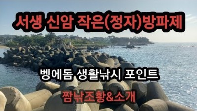 울산 서생 벵에돔낚시 도보권 신암방파제 벵에돔 생활낚시 낚시포인트 조황정보 및 채비정보