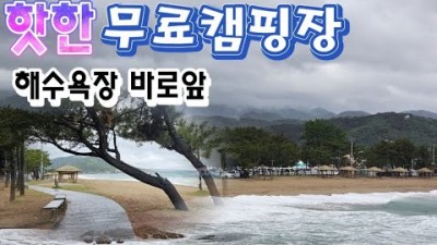 경북 영덕 바다앞 무료 차박캠핑, 장사해수욕장 솔밭캠핑 바다뷰 차박캠핑, 스텔스차박 우중 캠핑, 스타렉스캠핑차 차박여행 가볼만한곳