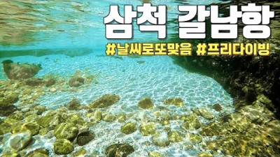 강원도 삼척 스노클링 다이빙 프리다이빙 포인트 갈남해변 월미도(돌섬) 주차장 샤워시설 수심 정보