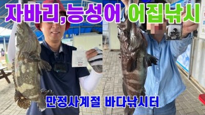 영종도 만정사계절 바다낚시터 자바리, 능성어, 뺀찌 낚시포인트 조황 및 채비정보