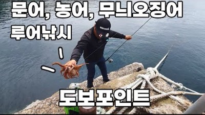욕지도 도보포인트 문어낚시 농어낚시 루어낚시 바다낚시포인트 조황 및 채비정보