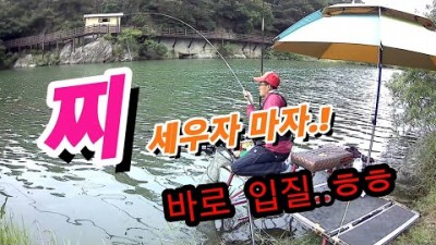 경북 상주 무료노지 붕어낚시 상주수로 마름밭 포인트 대물봉어 민물낚시 포인트