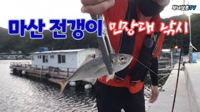 마산 전갱이 민장대 낚시포인트 전갱이채비 전갱이조황
