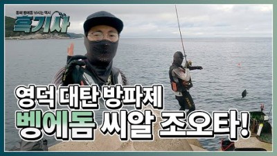 영덕 대탄방파제 벵에돔낚시 벵에채비 동해 벵에돔 낚시포인트 추천