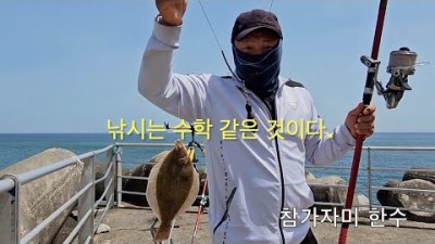 강원도 양양 하조대 참가자미 원투낚시 출조, 양양 가자미낚시 바다낚시 포인트 채비정보 조황정보