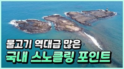 영덕 포항 스노클링 포인트 석동방파제 이가리해변 오도리해변 동해안 스노클링 프리다이빙 포인트 가볼만한곳 추천