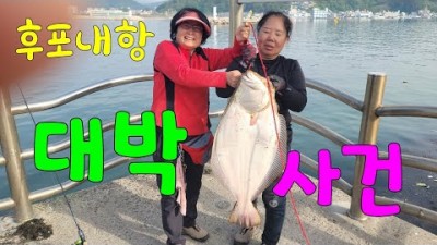 울진 후포항 광어 루어낚시 바다낚시포인트 가볼만한곳