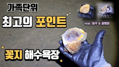 충남 안면도 꽃지해수욕장 주먹소라 해루질 포인트