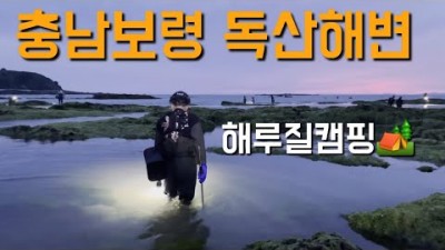 충남 보령 독산해변 해루질 캠핑 가볼만한곳 추천