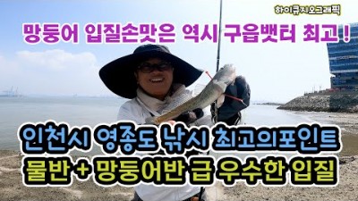 인천 영종도 구읍뱃터 망둥어 원투낚시 포인트 및 조황정보