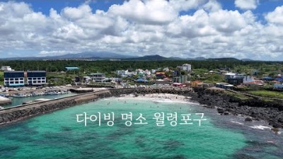 제주도 다이빙, 스노쿨링, 패들보드, 노지차박 캠핑 명소 월령포구 제주 여행 가볼만한곳