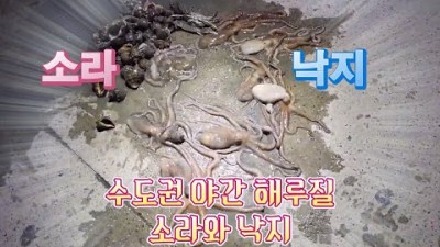 대부도 구봉도 낙지 소라 해루질 포인트 가볼만한곳