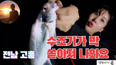 전남 고흥 수조기 원투낚시 포인트, 바다통발, 바다낚시포인트 조황