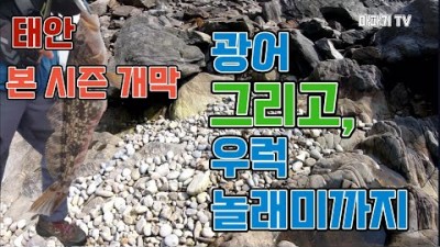 충남 태안 모항지 갯바위 광어낚시 우럭낚시 놀래미낚시 루어낚시 바다낚시포인트 및 조과, 채비정보