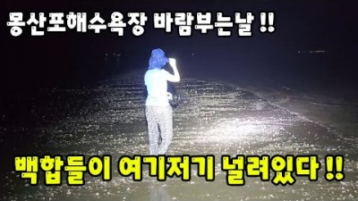 몽산포해수욕장 백합 해루질 포인트 서해안 야간해루질 가볼만한곳